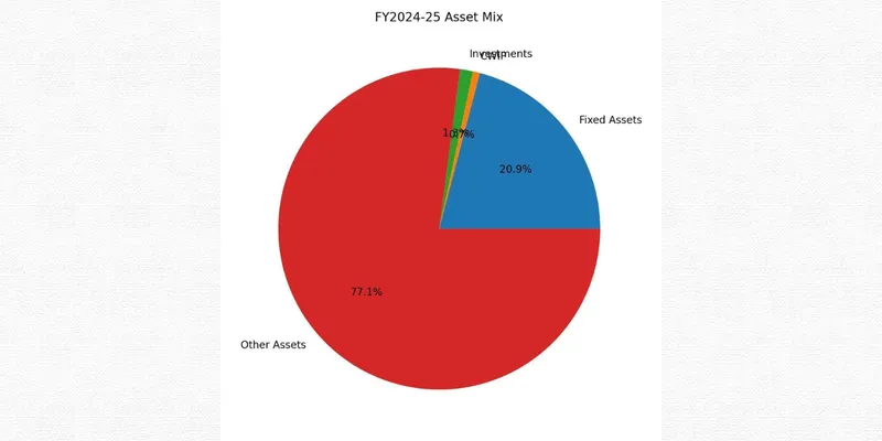 AMBIKA COTTON MILLS LTD FINANCIAL AND BUSINESS ANALYSIS REPORT